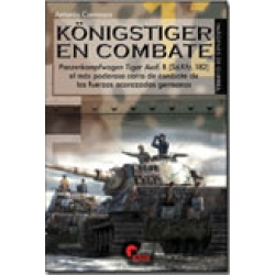 KÖNIGSTIGER EN COMBATE